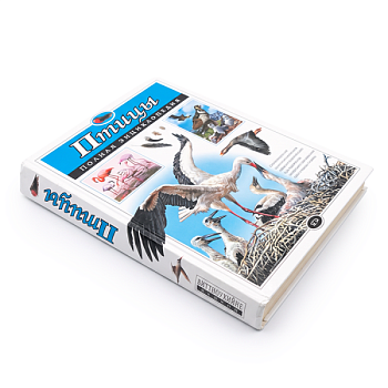 Книга Энциклопедия