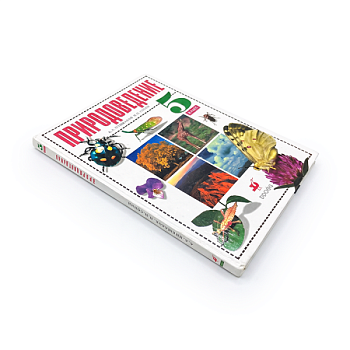 Книга Учебник